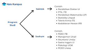 Jawaban contoh soal psikotes sma untuk penjurusan. Daftar Lengkap Jurusan Kuliah Ipa Dan Jurusan Kuliah Ips Dan Penjelasannya