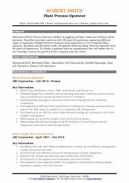Breathtaking different resume formats templates types of format free … what are the 3 main resume types? Process Operator Resume Samples Qwikresume