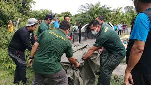 Frim perhilitan jabatan pertanian jabatan alam. Salakan Anjing Isyarat Ada Harimau Kumbang Utusan Digital