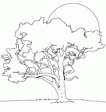 Trees are among the most sought after coloring page subjects all over the world with parents often looking for unique printable tree coloring sheets online. Pictures Of Trees For Kids Coloring Home