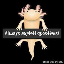 Axolotl Science Jokes Biology Poster Science Memes