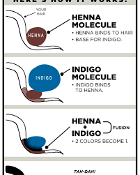 Henna dyes the hair red and indigo dyes the hair blue so when applied together, they dye the hair black. Pure Indigo Beard Dye Henna Color Lab Henna Hair Dye