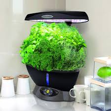 Aerogarden black harvest indoor hydroponic garden. Which Aerogarden Is Best Our Reviews Comparison Of The Top Models