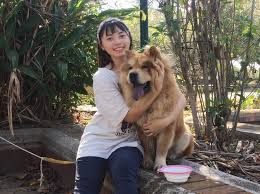 Chow Chow Cinsinin One Cikan Ozellikleri