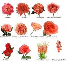 The search of the terms hibiscus has generated 64 results in the photo collection.photo: Flowerful Events Color Of The Month Coral And Teal Color Combinations Flowerful Events Coral Wedding Flowers Coral Flowers Coral Wedding Themes