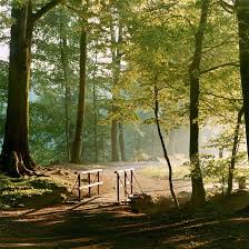 Neben vielen kleinen erlebnissen abseits des weges, wie zum beispiel einem damm, könnt ihr euch den schildern in richtung wellbrockquelle folgen. Wellbrockquelle Karte Nordrhein Westfalen Deutschland Mapcarta