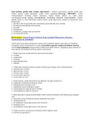 Jumlah pasien pria 3 kali lebih banyak dibanding pasien wanita dapat dikatakan karena perbedaan aktivitas. Soal Pilihan Ganda Dan Essay Entang Sistem Perkemihan Masnurul