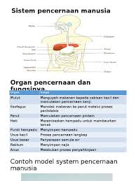 Translations of the phrase empedu dan from indonesian to english and examples of the use of empedu dan in a sentence with their translations: Sistem Pencernaan Manusia