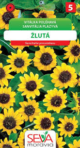 Image result for foto Vitálka