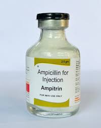 Image result for Ampicillin