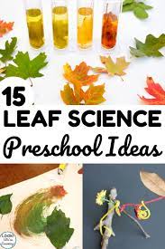My kids absolutely love this solar system scavenger hunt! 15 Simple Leaf Science Activities For Preschoolers Look We Re Learning