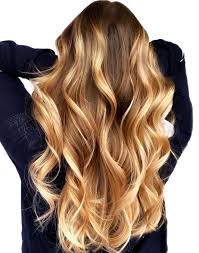 You have plenty of blonde hair on top brown on bottom hairstyle options to choose from. 50 Best Blonde Hair Colors Trending For 2021 Hair Adviser