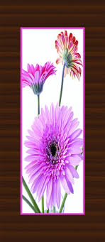 Overnight print's newly added wrapping paper of course. Digital Door Skin Paper Print In Supplier Jalaram Waste Paper Ahmedabad India Localfrog