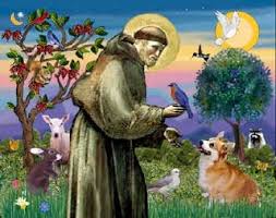 Healing Grace St Francis Of Assisi Patron Saint Of Animals And The Environment Patron Saint Of Animals Patron Saints St Francis