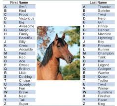 The horse was given as a gift by poseidon, the god of horses. Horse Name Horse Names Funny Horses Horses