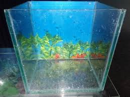 A = makanan untuk ikan ikan koi yang bagus banyak misalnya saja dari produk tetra koiexcellence performace karena pakan ini mengandung kadar a = ikan maskoki anda perlu dikasih makanan dari merk cleaver fish, disamping bahannya yang imfort makanan ini juga tidak akan cepat keruh ke air. 30 Harga Aquarium Mini Untuk Ikan Cupang Images