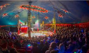 Zippos Circus 12 April 9 May At Four Locations Circus Tickets Glasgow Circus