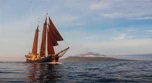 Check the reviews and comments of scuba divers on liveaboard.com Adelaar Cruises Home Facebook