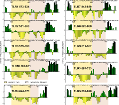 Image result for Yellow 1996 CIL