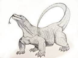 Use the small circle as a guide to draw the rest of the komodo dragon's head. Komodo Dragon Ari Info Ari Info