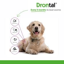 Do not give drontal plus if your pet is already receiving another deworming medication unless directed to by your veterinarian. Plus Dog Worming Tablets X1 Equipet