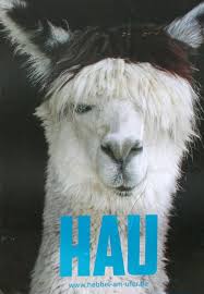 Posters Of Berlin Hebbel Am Ufer Reopening Found In Friedrichshain Poster Berlin Graphic