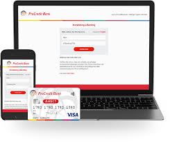 In 2004 procredit bank opted to broaden its range of services for both entrepreneurs and private households. Procredit Bank Direct Bulgaria