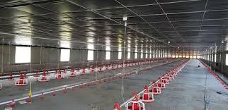 Kỹ thuật sử dụng bạt chăn nuôi cho chuồng trại tốt nhất