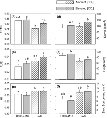 leaf and canopy scale drivers of genotypic variation in