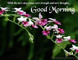 I don't need paradise because i found you…i don't need dreams because i already have life is a new opportunity every day, you have to go out there and make your way, so smile at the start of this new day, good morning to you! 162 Lovely Good Morning Wishes With Flowers