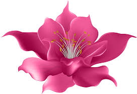 Drawing Violet Clip Art Painting Transprent Png Magnolia Flower Transparent Png Full Size Clipart 439896 Pinclipart Set of stylish wreaths drawings. pinclipart