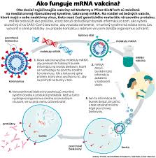 9gag is your best source of fun! Ockovanie Proti Covid 19 Vsetko O Vakcine Na Koronavirus Sme