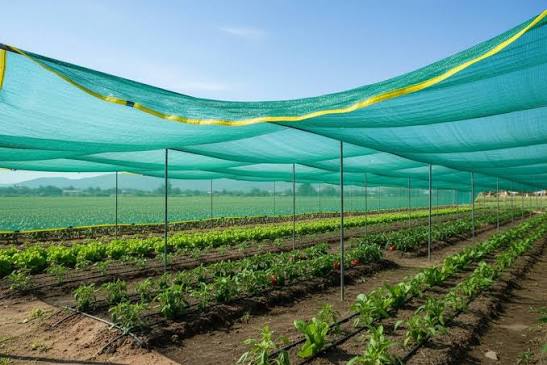 Green Shade Net Installation