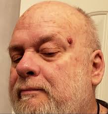 The Bayo-Hunter: 2020