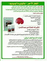 الفطر الريشي my saves stuffed mushrooms food