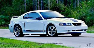 Image result for Oxford White 2003 Escape