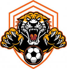 There are logo designs for all sports: Tiger Football Nature Logo Design Football Logo Design Art Logo