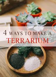 Ini yang menyebabkan pokok ketumbar pada awalnya hidup namun tak tahan lama kerana. Cara Sederhana Bikin Terrarium Dalam Wadah Kotak Kayu Yuk Coba Lifestyle Fimela Com