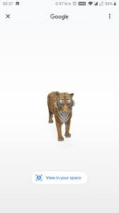 Meet Life Size Tiger 3d Peepsburgh