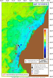 Sea Surface Temperature