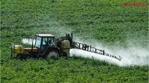 Pour le glyphosate, on est même pas sûr qu'il soit cancérigène, c'est dire si le risque, si tant est que le danger existe, est ultra faible pour les consommateurs. Le Glyphosate Mais Qu Est Ce Que C Est Sur Orange Videos