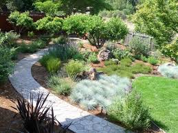 Blauschwingel Bilden Einen Weichen Teppich Graser Im Garten Steingarten Pflanzen Garten