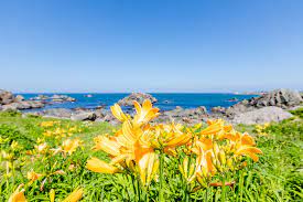 20170614 099a9552 natural landmarks nature landmarks