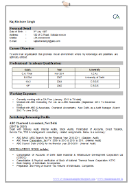 professional curriculum vitae / resume