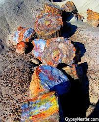 The Petrified Forest National Park In Arizona Gypsynester Celebrating Life After Kids Petrified Forest National Park Petrified Forest National Parks