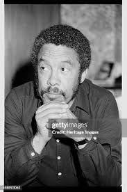 792 Gryphon Solo Stock Photos, High-Res Pictures, and Images