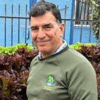 Nestor Delfin's Instagram, Twitter & Facebook