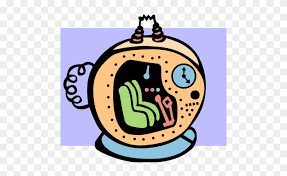 Download high quality time machine clip art from our collection of 65,000,000 clip art graphics. Term 2 Time Travel Time Machine Clip Art Free Transparent Png Clipart Images Download