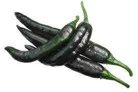 We did not find results for: Pepper Hot Pasilla Bajio Heirloom Hometown Seeds