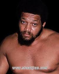 厄尔尼·莱德- 抖音百科